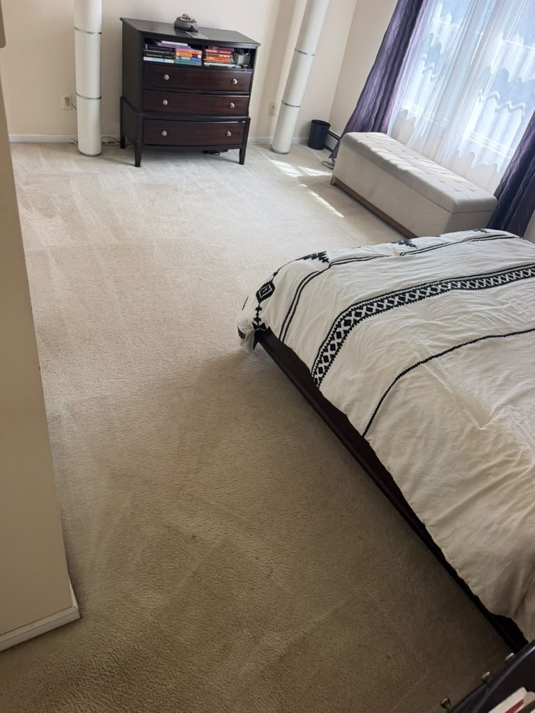Bedroom carpet after cleaning, photographed toward the window